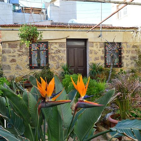 Mystery Garden Guest House ファマグスタ エクステリア 写真