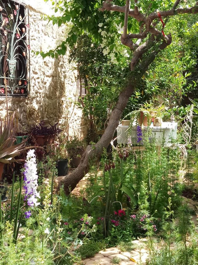Mystery Garden Guest House ファマグスタ エクステリア 写真