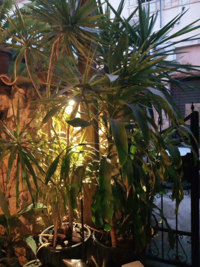 Mystery Garden Guest House ファマグスタ エクステリア 写真