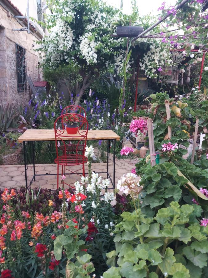 Mystery Garden Guest House ファマグスタ エクステリア 写真