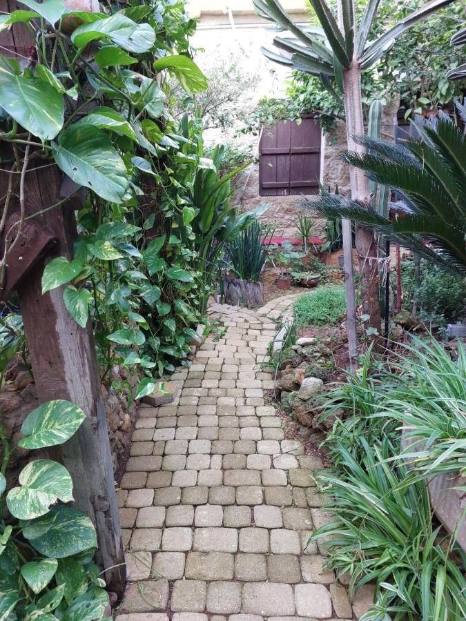 Mystery Garden Guest House ファマグスタ エクステリア 写真
