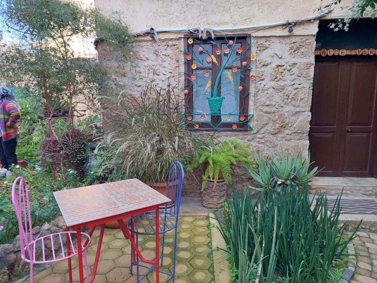 Mystery Garden Guest House ファマグスタ エクステリア 写真