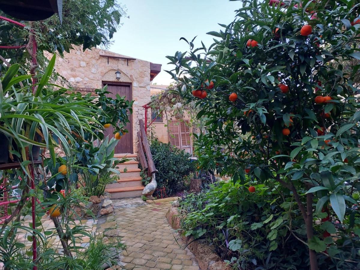 Mystery Garden Guest House ファマグスタ エクステリア 写真