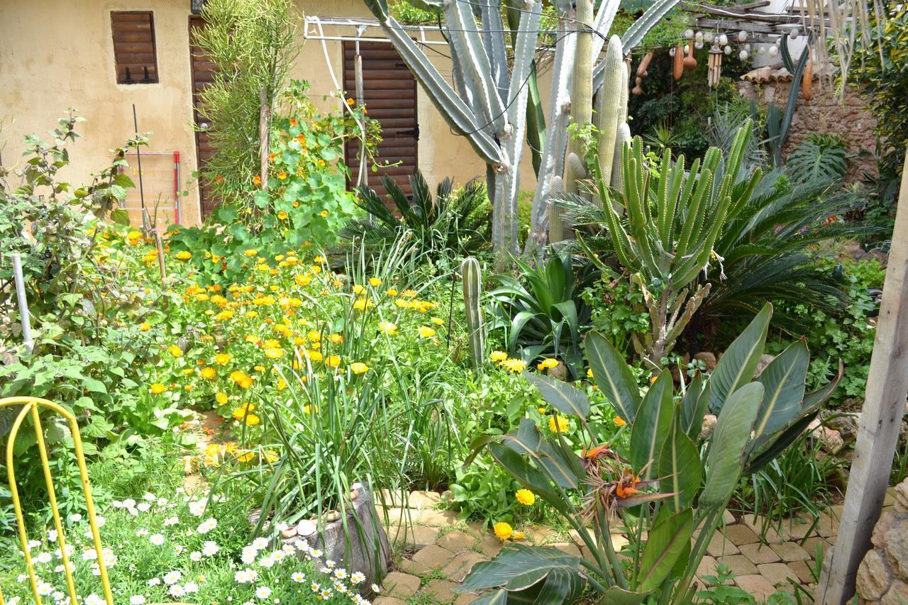 Mystery Garden Guest House ファマグスタ エクステリア 写真