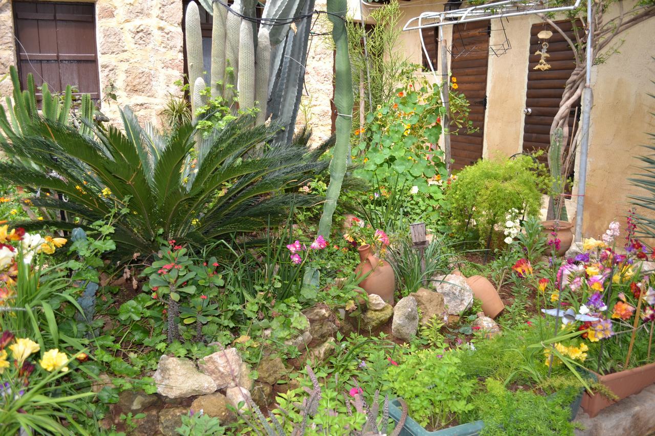 Mystery Garden Guest House ファマグスタ エクステリア 写真