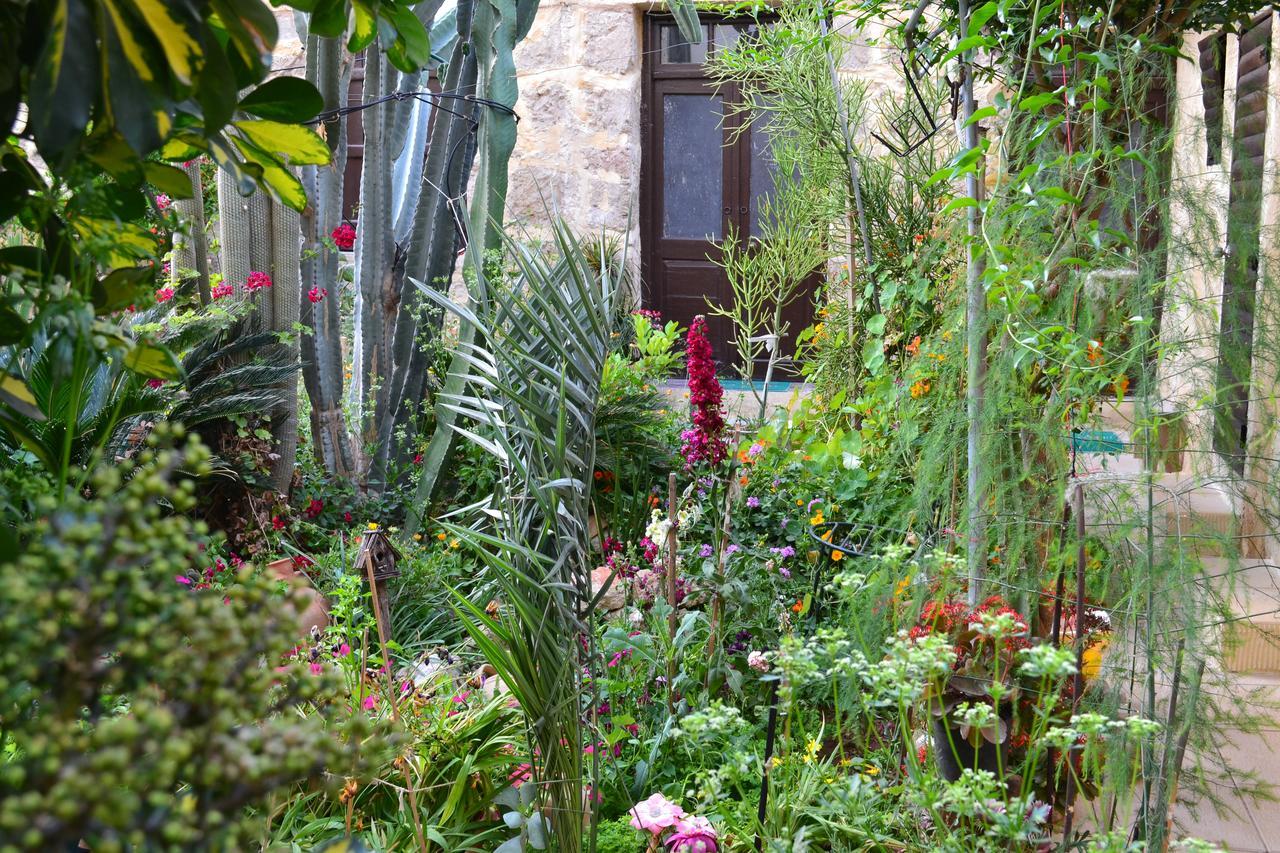 Mystery Garden Guest House ファマグスタ エクステリア 写真