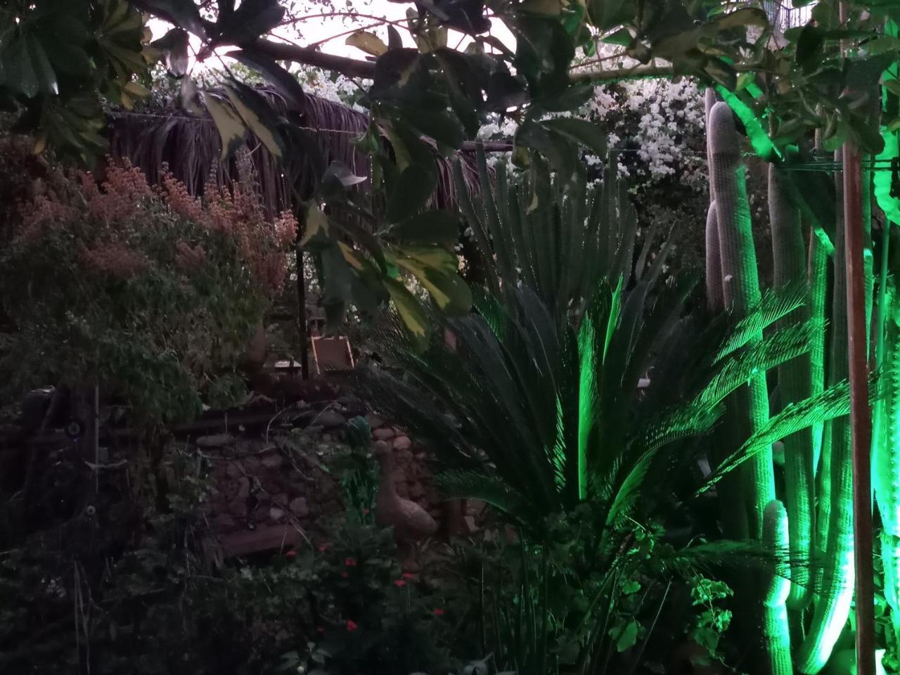 Mystery Garden Guest House ファマグスタ エクステリア 写真